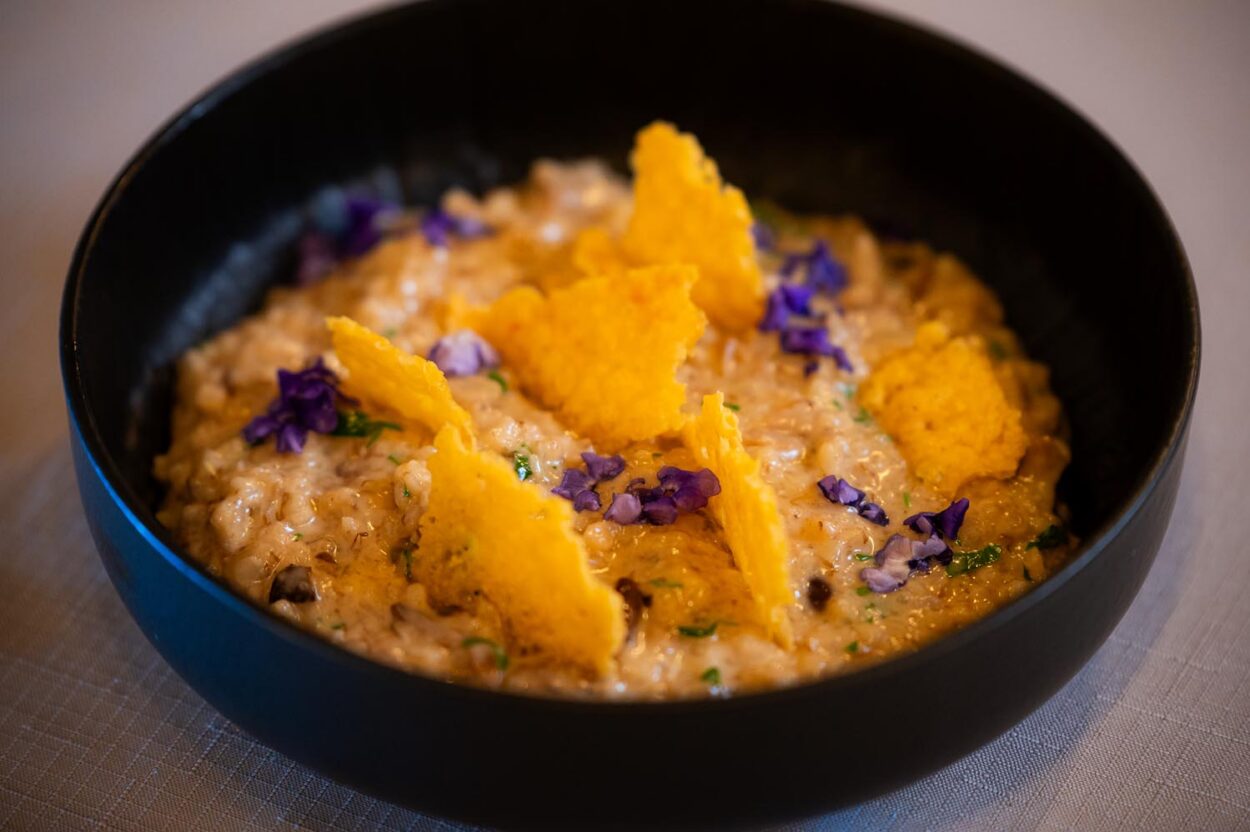Risotto - restauracja Persefona